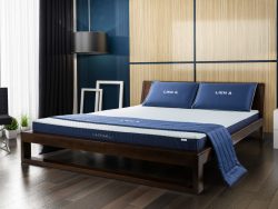 nem-cao-su-lien-a-aDom-Blue