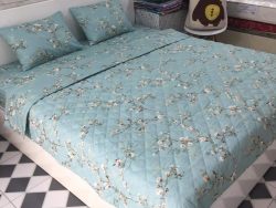 ga-cotton-han-quoc-gia-re-hcm
