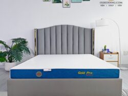 nệm đông á gold pro bmt