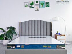 nệm đông á gold pro