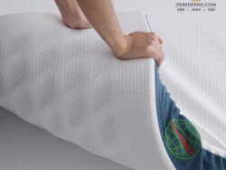 nệm đông á gold pro