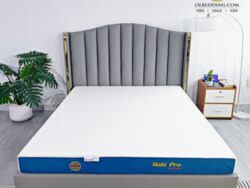 nệm đông á gold pro giá rẻ