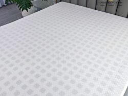 nệm đông á gold pro