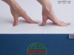 nệm đông á gold pro