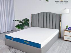 nệm đông á gold pro